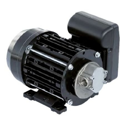 Насос Garda 5 220V