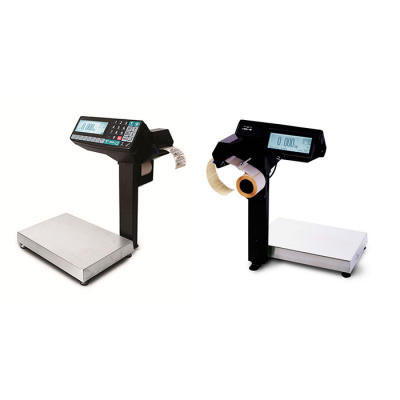 МАССА-К МК-6.2-R2P-10